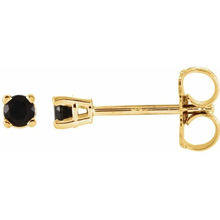 14K Yellow 2.5 mm Natural Black Onyx Stud Earrings